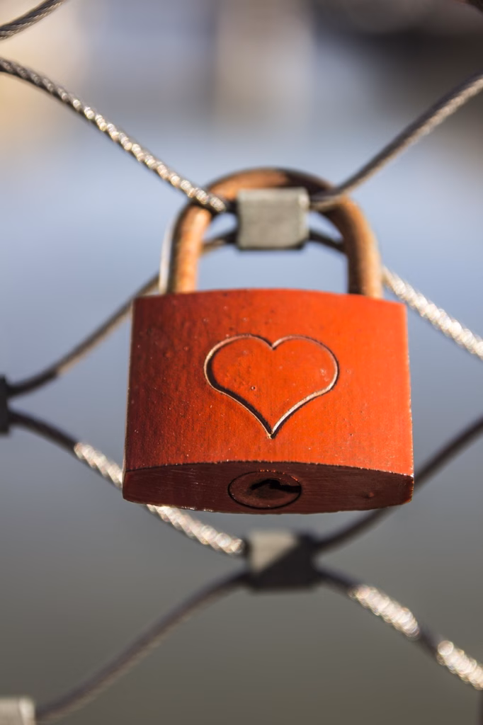 heart, lock, padlock, fence, locked, love lock, symbol, love, love symbol, valentine's day, grid, heart, heart, lock, lock, love, love, love, love, love